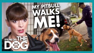 Overstimulated Pitbull Pulls Owners around the Neighbourhood! | It's Me or The Dog