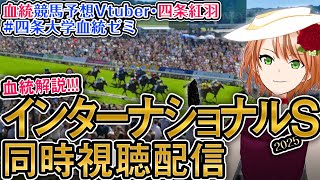 四条紅羽の配信のサムネイル画像