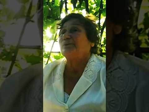 СЛАВКА СЕКУТОВА НИ