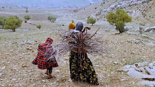 Life in the heart of the mountains: a silent struggle for survival and motherly love
