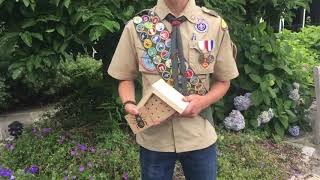Scout To Host Bee House Workshop At Hingham Public Library
