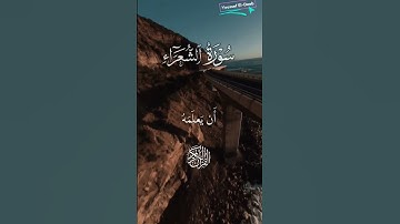 #قرآن سوره الشعراء للقارئ الشيخ ياسر الدوسري 🕊️🤍