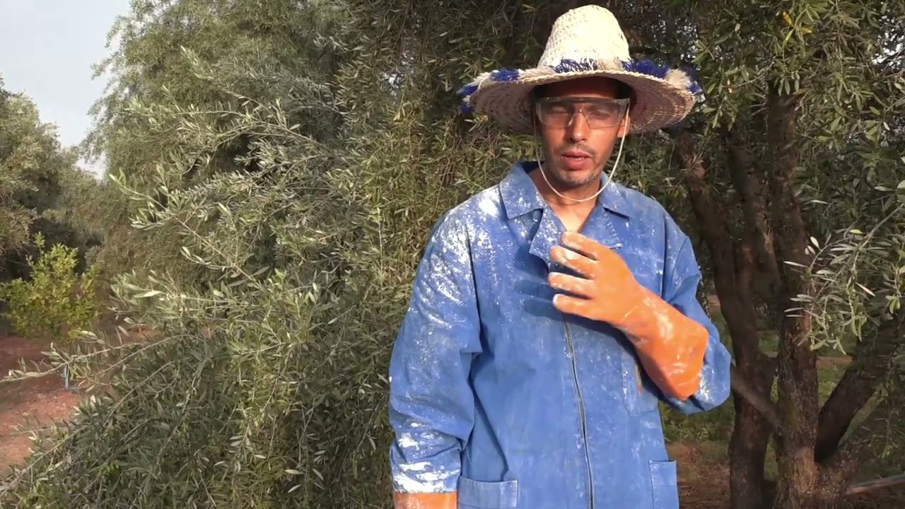 كيف أحضر عجينة بوردو وكيف أطبقها على أشجار الزيتون من العطاوية