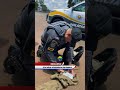 COCAÍNA APREENDIDA EM ÔNIBUS