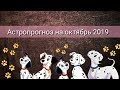 АСТРОПРОГНОЗ НА ОКТЯБРЬ 2019