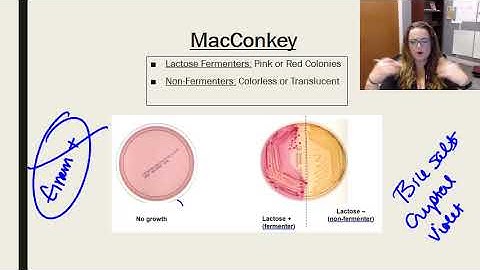 Laboratory tests, media, and techniques