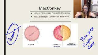 Laboratory tests, media, and techniques screenshot 2