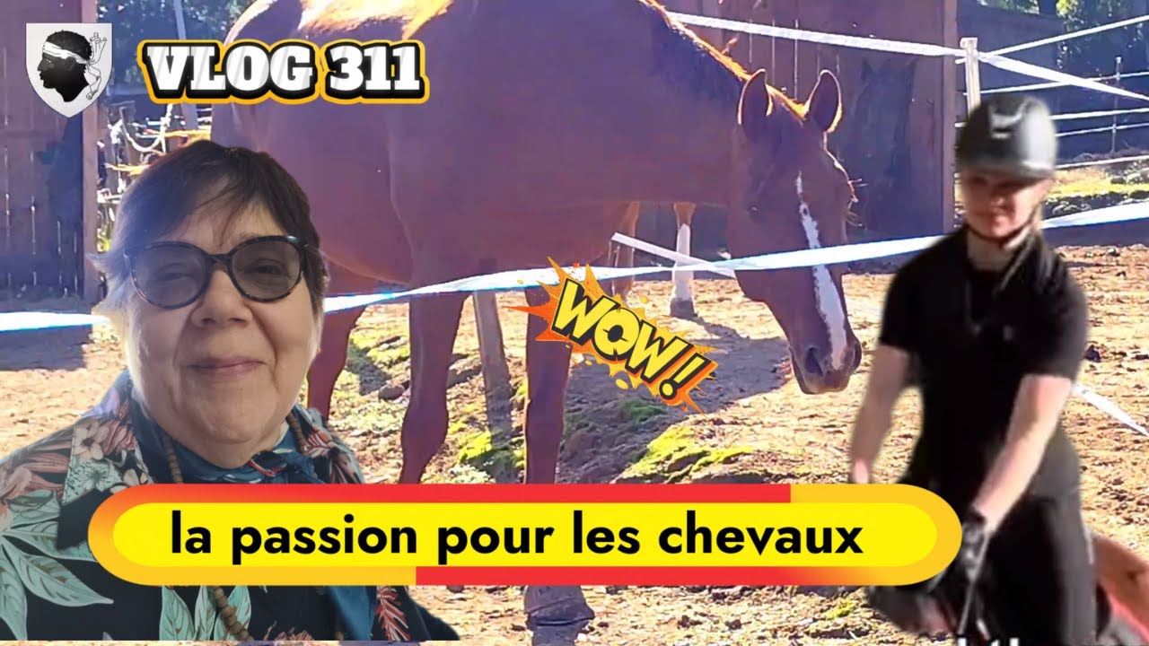 VLOG 311    la passion pour les chevaux