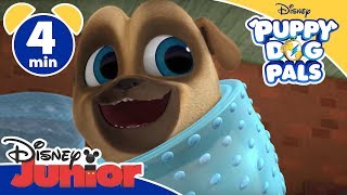 Puppy Dog Pals Un Parco Giochi...quasi - Disney Junior Italia