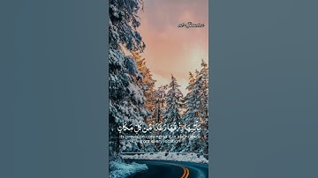 {وضرب الله مثلا قرية كانت آمنة مطمئنة}♥️_ بصوت القارئ/عبدالرحمن مسعد🌸