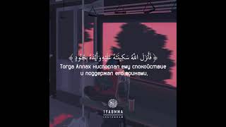 Сура 9 ат–Тауба. Абдуррахман Моссад