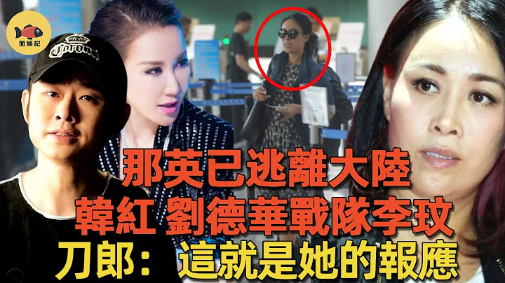 那英已逃離大陸，恐有20年牢獄之災！韓紅、甄妮、劉德華戰隊李玟，刀郎：這就是那又鳥的報應！#好聲音#那英#甄妮#韓紅#李玟#刀郎#劉德華#閑娛記 - 天天要聞