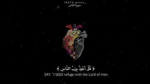 ما هو اسم القارئ