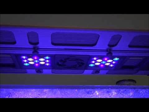 maxspect razor