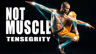 The Fascia &amp; Tensegrity Revolution: Upgrade Your Human Machine