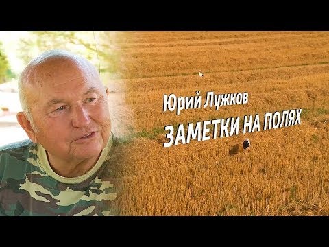 Video: Hvorfor Luzhkov Blev Fjernet