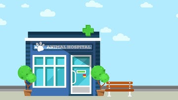 Asteris Keystone | Veterinary Image Management Software