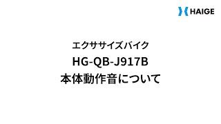 HG-QB-J917B 本体動作音について