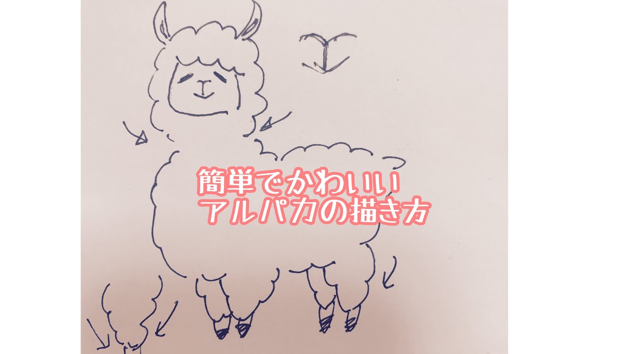 簡単でかわいい アルパカ の描き方 あるぱか Youtube