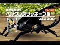 [アーケード] 甲虫王者 ムシキング Mushiking - つよさ200 最強のカブト と クワガタ紹介