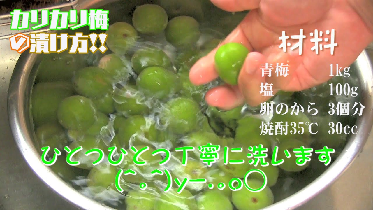 カリカリ梅 の作り方 4 1無添加の基本編 卵のから 一年後も梅はカリカリだよ Karikari Ume Plum Recipe Eggshell Youtube