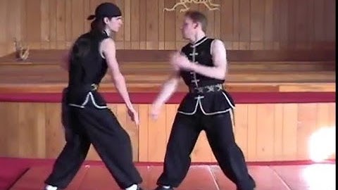 Eight Step Preying Mantis Kung Fu