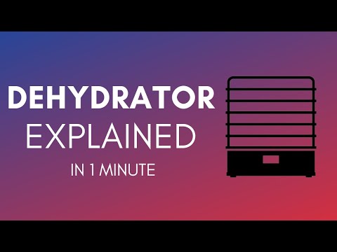 How Does A Dehydrator Work Food Dehydration Process In 1 Minute