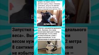 Мемасики про котиков часть 290 #meme #funny #shorts