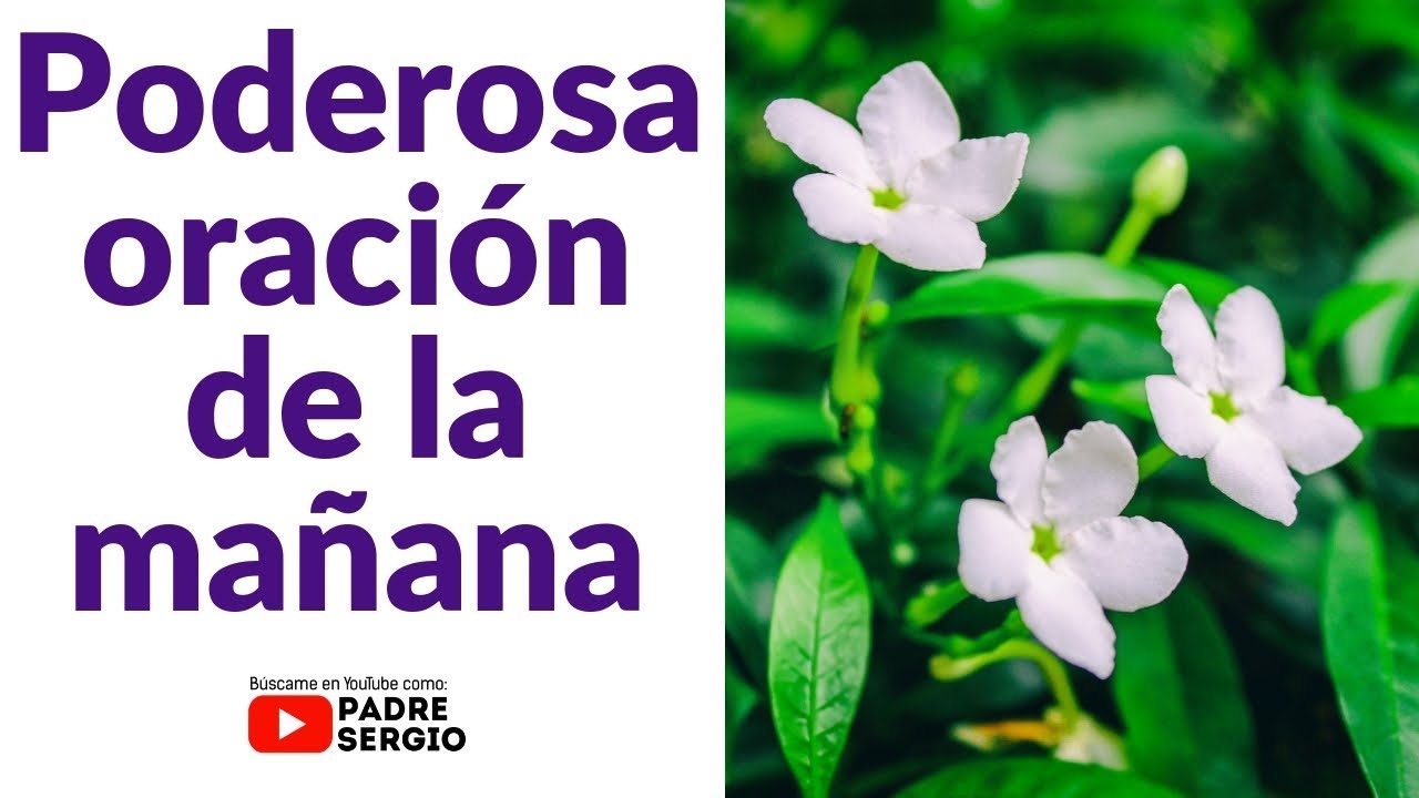 Poderosa oración de la mañana