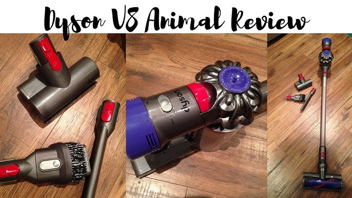 dart En begivenhed At øge Testing & Review of Dyson V8 Animal Handheld Vacuum - YouTube