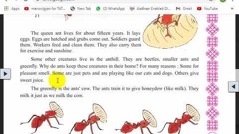 STD 7 || ENGLISH || UNIT 5 || ME TOO ! || ACTIVITY 1 TO 9 || SEM 2 || LEC 1