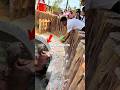 He Tried Feeding a Hippo… It Didn’t Go as Planned 😳 #animals #wildlife