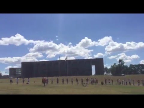 Artistas e manifestantes fazem roda da democracia em Brasília