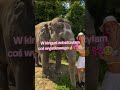 Kinia ma coś inego🎀@kiniatymoszuk @only.grabowska.tymoszuk @Wikuś._.Loverr
