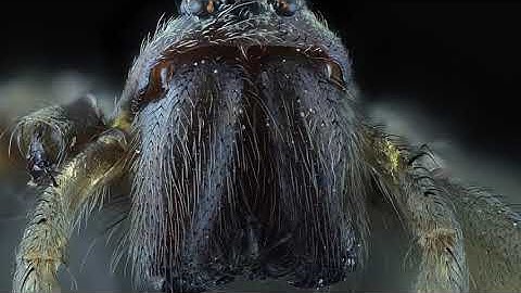 3D stacking demo using a 3D printer as a focusing rail