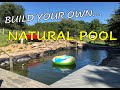 How to Build a Natural Pool