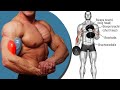 7 تمرين البايسبس كمال الاجسام استهذاف جيمع زوايا | best 7 BICEPS Exercises