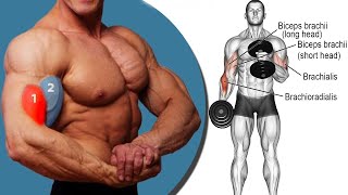 7 تمرين البايسبس كمال الاجسام استهذاف جيمع زوايا | best 7 BICEPS Exercises