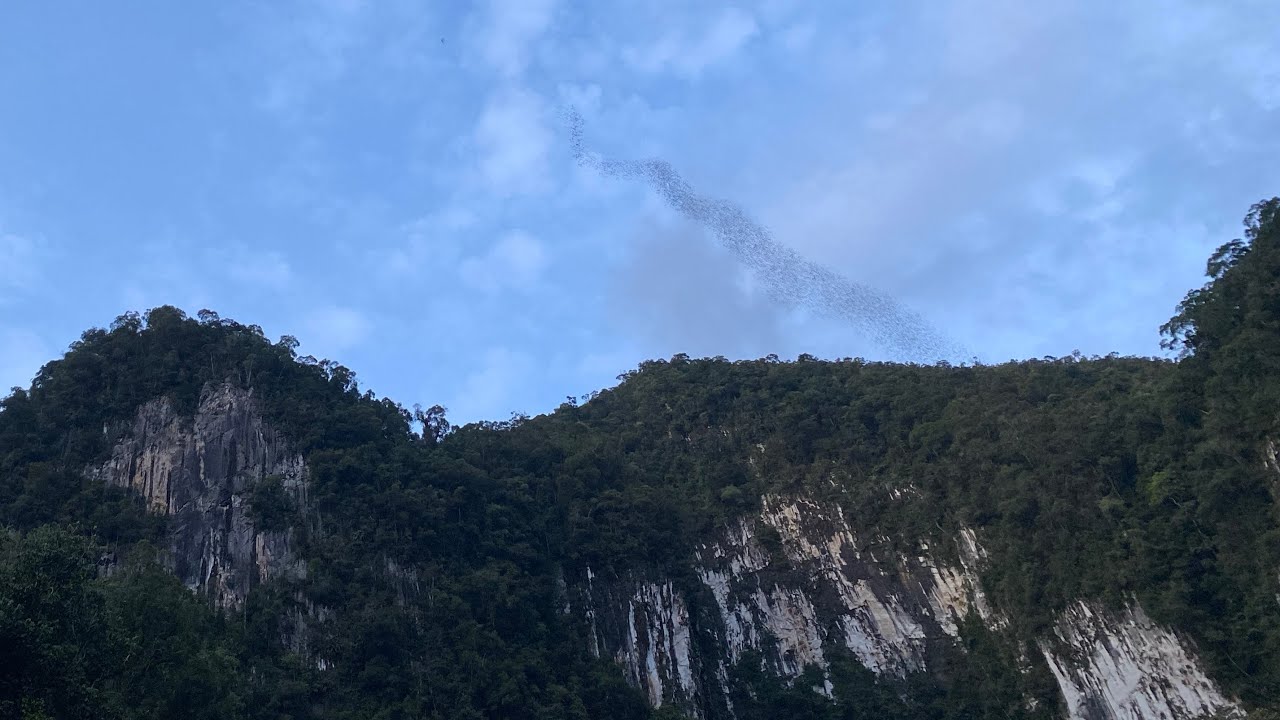 Bat exodus a abdat YouTube