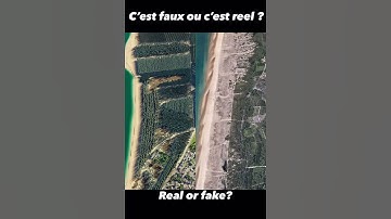 Real or fake? Cities skylines 2 crazy game #citiesskylines2 #cs2 #gaming