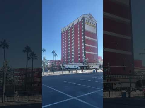 Lost at Trump’s Casino! From the Table to a Cold Grave! WTF?