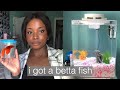 i got a betta fish (tank unboxing + setup)