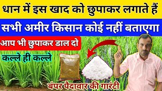 धान में इस खाद को छुपाकर लगाते हैं किसान |धान में कल्लै बढ़ाने का बेस्ट फॉर्मूला | Dhan ki kheti screenshot 4
