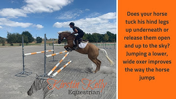 How to improve the horses jump and release the back end