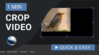 OpenShot Video Editor Tutorial: How to Crop Video in OpenShot screenshot 5