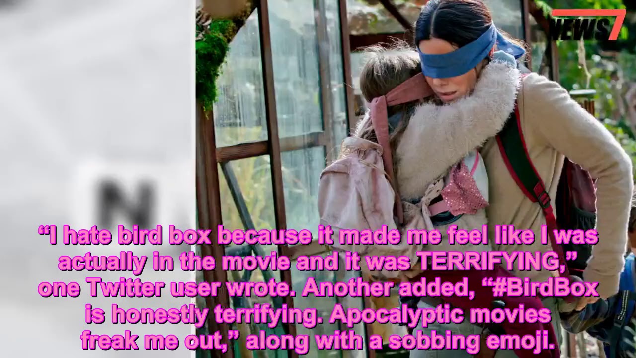 Sandra Bullock’s Bird Box Was Watched by 45 Million Accounts in Its