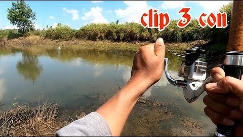 CÂU LURE CÁ LÓC ĐỒNG MÙA KHÔ | snakehead fishing | quốc toản fishing