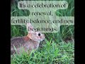 What actually is Ostara? 🌱✨