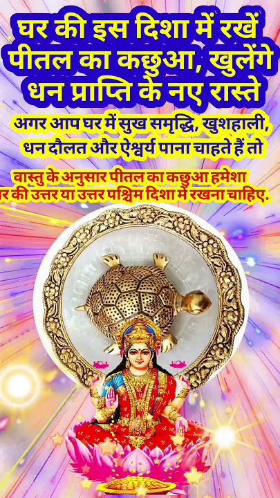 घर की इस दिशा में रखें पीतल का कछुआ, खुलेंगे धन प्राप्ति के नए रास्ते #vastutips # #vastushastra