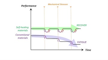 Mechanoresponsive self-growing hydrogels inspired by muscle training